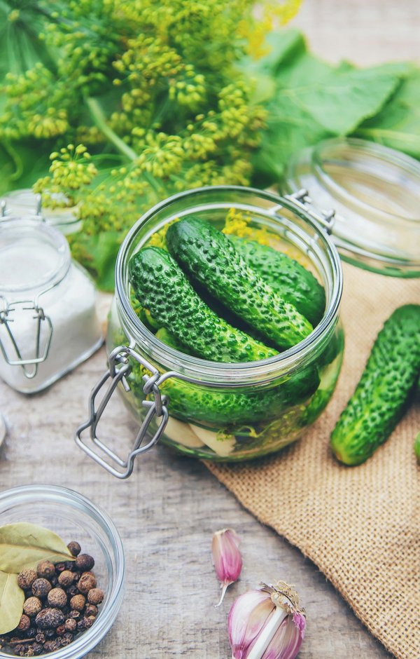 Essential Tips for Preserving Hybrid Components in UK Vehicles