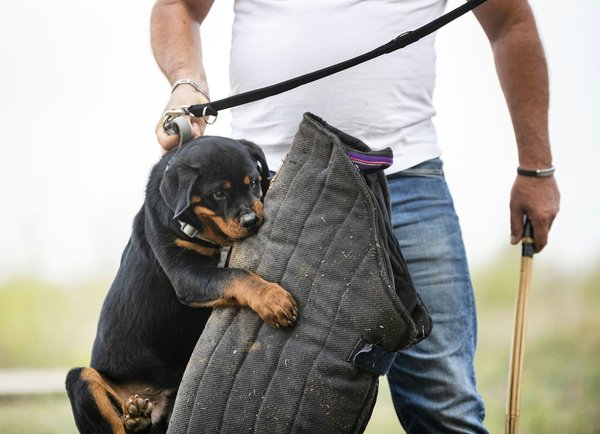 Exploring the Safety Risks of Choosing Non-OEM Parts for Vehicle Repairs